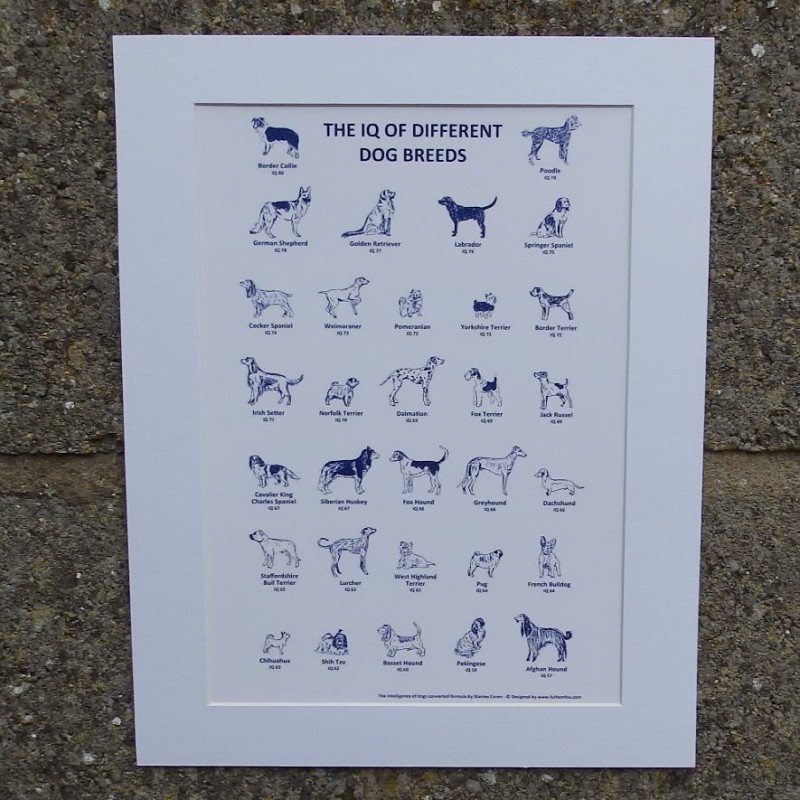 Dog IQ Print